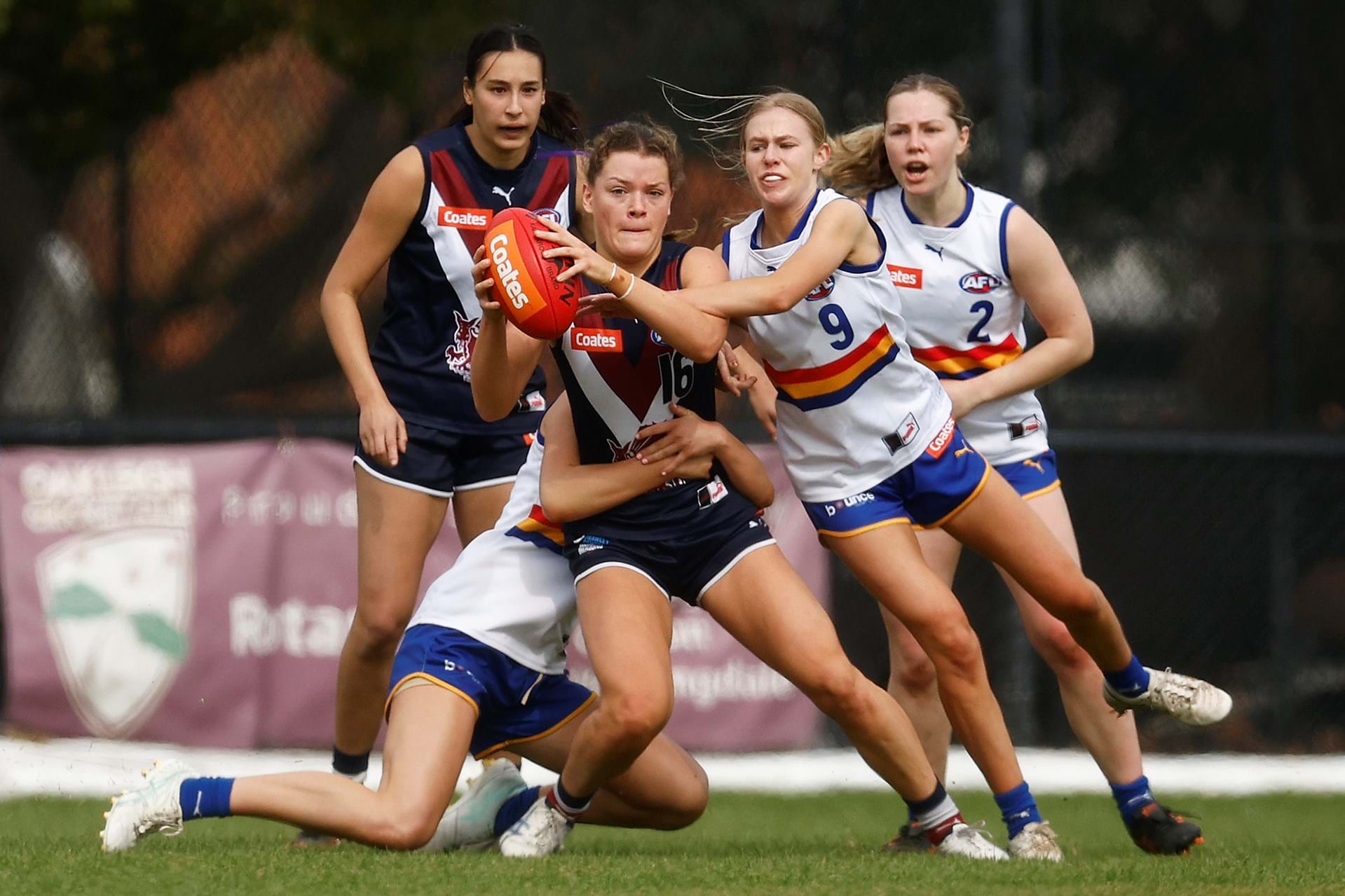 Tiger Time for Issy Bacon