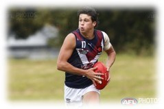 Finn Callaghan takes out Sandringham Best and Fairest
