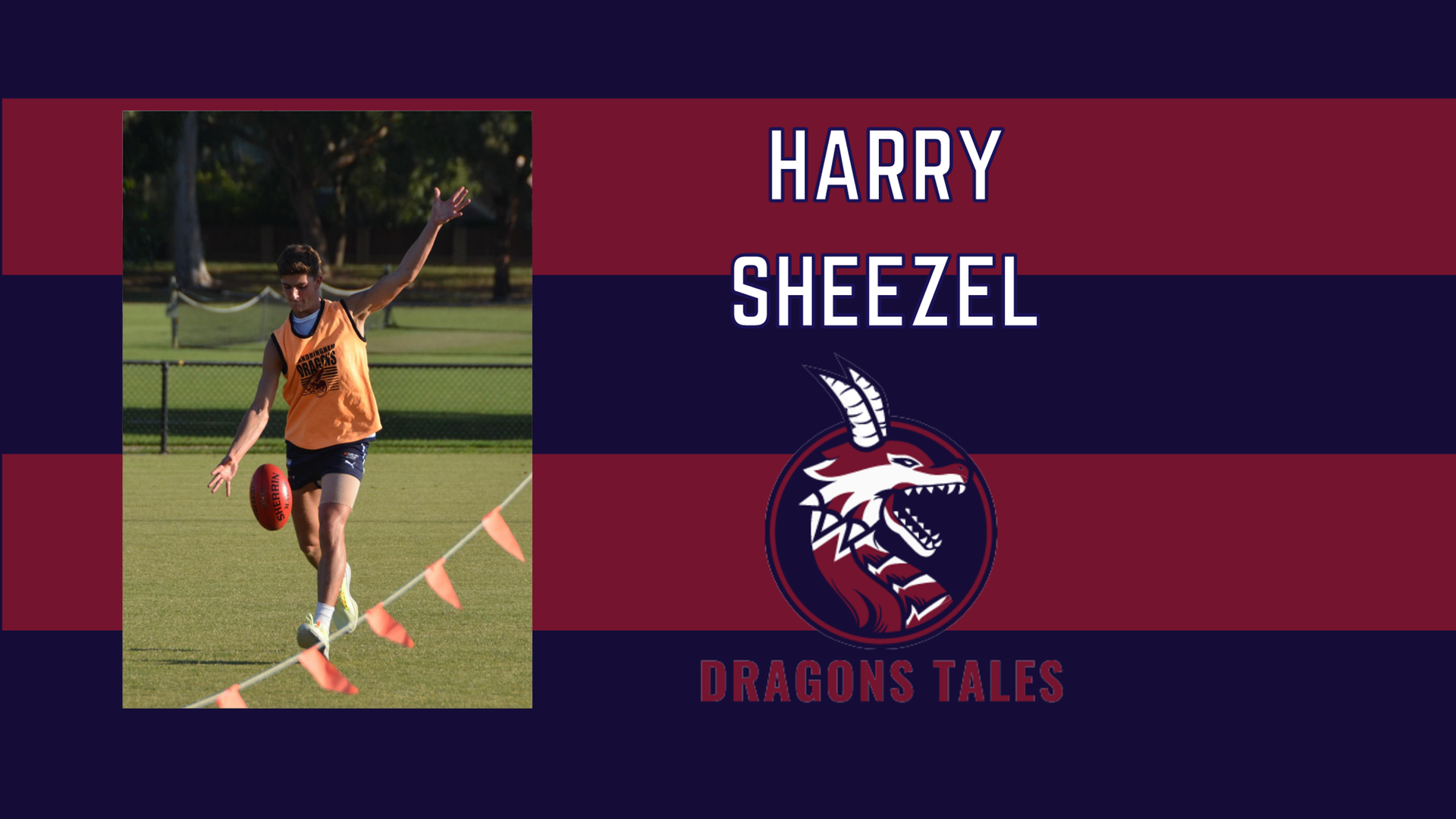 Harry Sheezel: structure and self-awareness